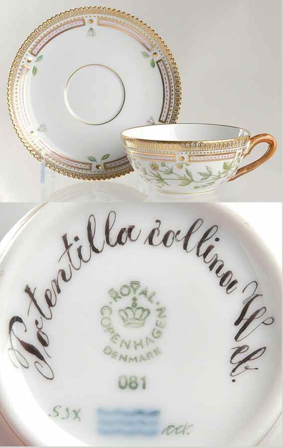 Flora Danica (1961 To Current) Flat Tea Cup & Saucer Set-Potentilla collina Web by Royal Copenhagen-1
