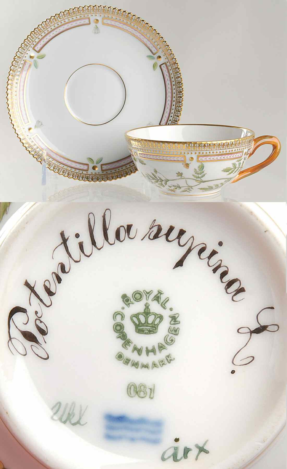 Flora Danica (1961 To Current) Flat Tea Cup & Saucer Set-Potentilla supina L by Royal Copenhagen-1