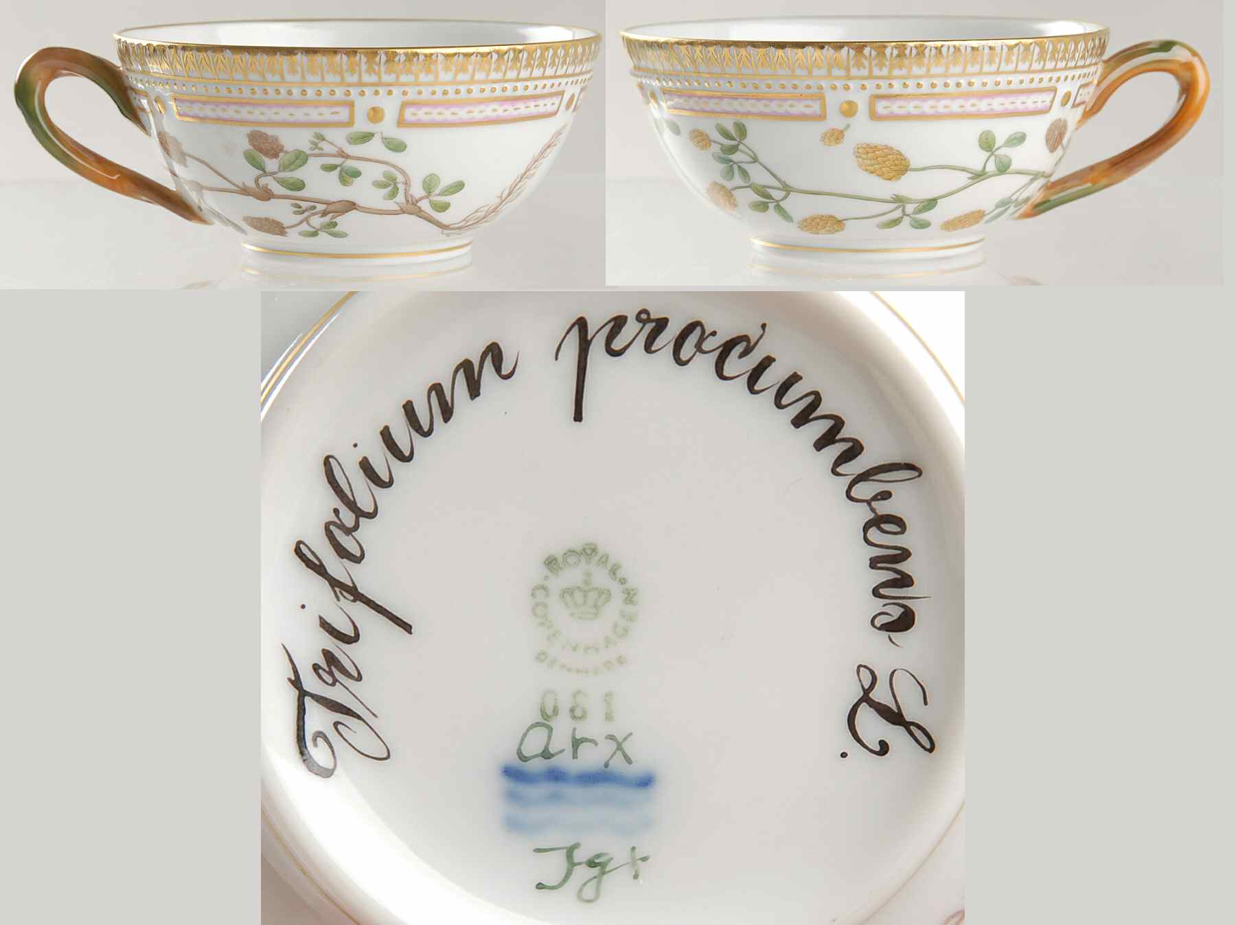 Flora Danica (1961 To Current) Flat Tea Cup-Trifolium procumbens L by Royal Copenhagen-1