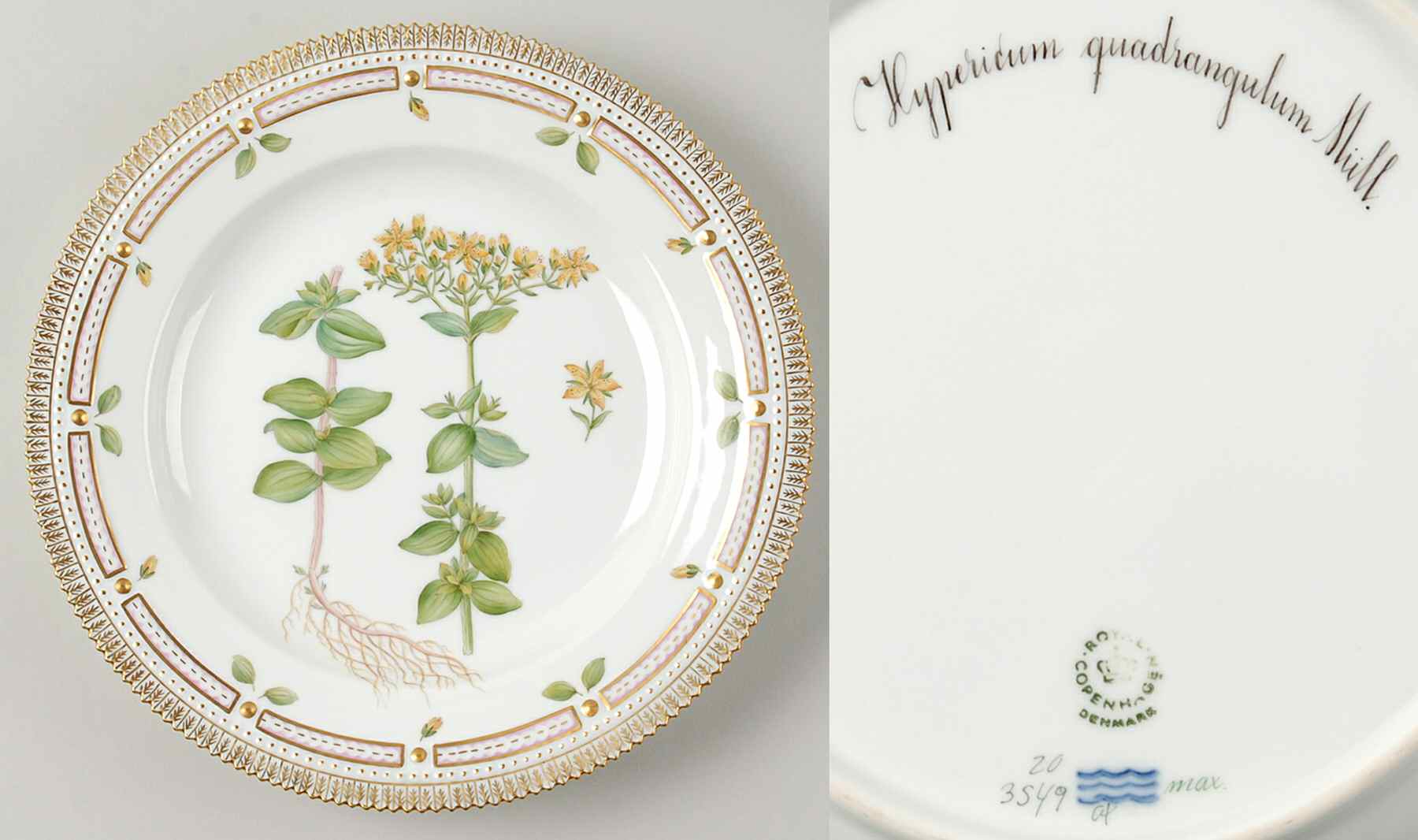 Flora Danica (1961 To Current) Dinner Plate-Hypericum quadrangulum Mull by Royal Copenhagen-1