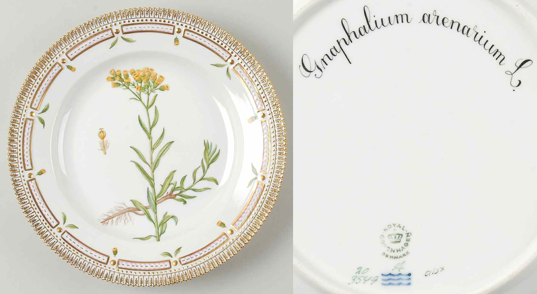 Flora Danica (1961 To Current) Dinner Plate-Gnaphalium arenarium L by Royal Copenhagen-1