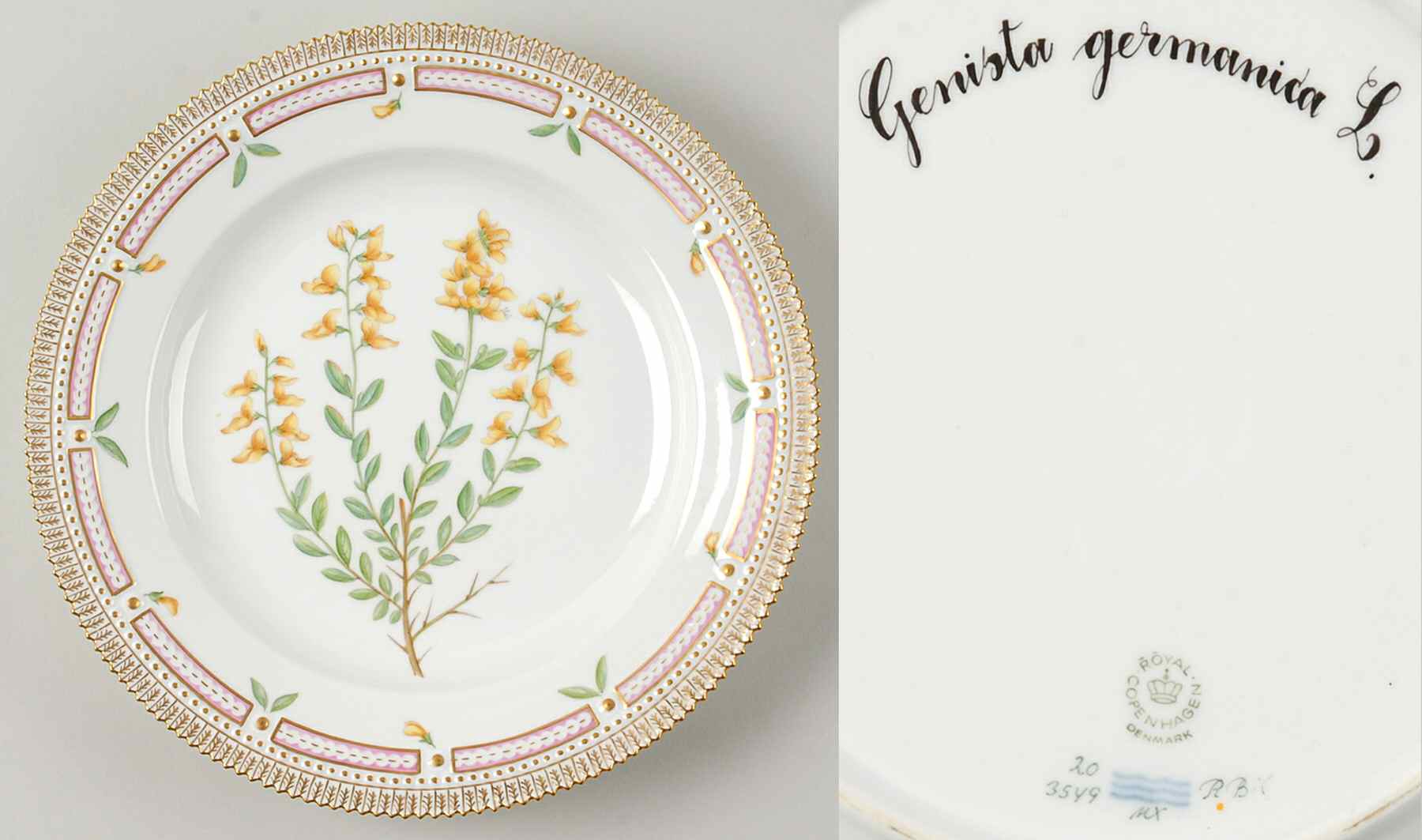 Flora Danica (1961 To Current) Dinner Plate-Genista germanica L by Royal Copenhagen-1