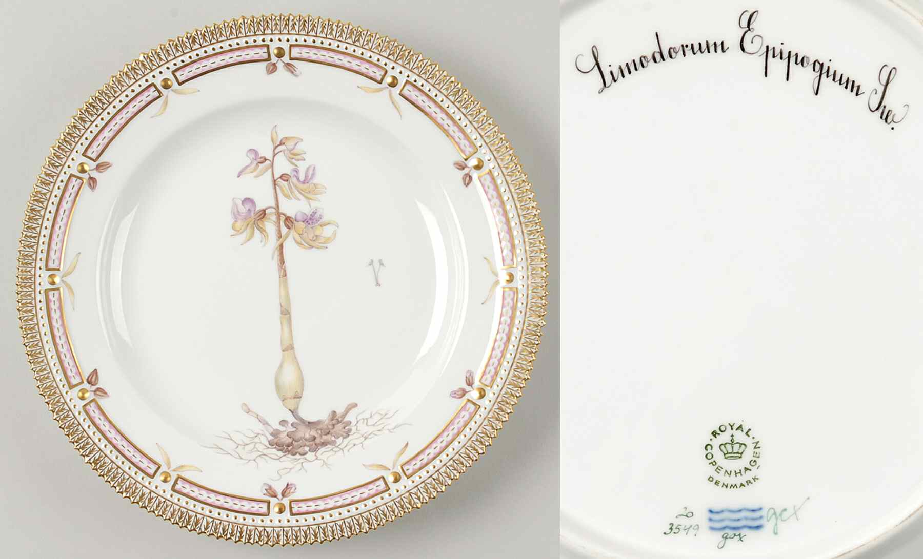 Flora Danica (1961 To Current) Dinner Plate-Limodorum Epipogium Sw by Royal Copenhagen-1