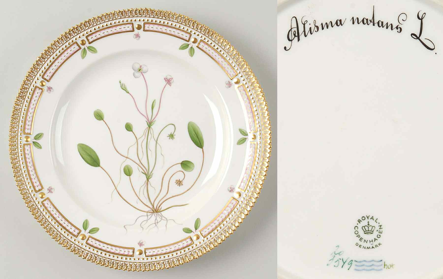 Flora Danica (1961 To Current) Dinner Plate-Alisma natans L by Royal Copenhagen-1