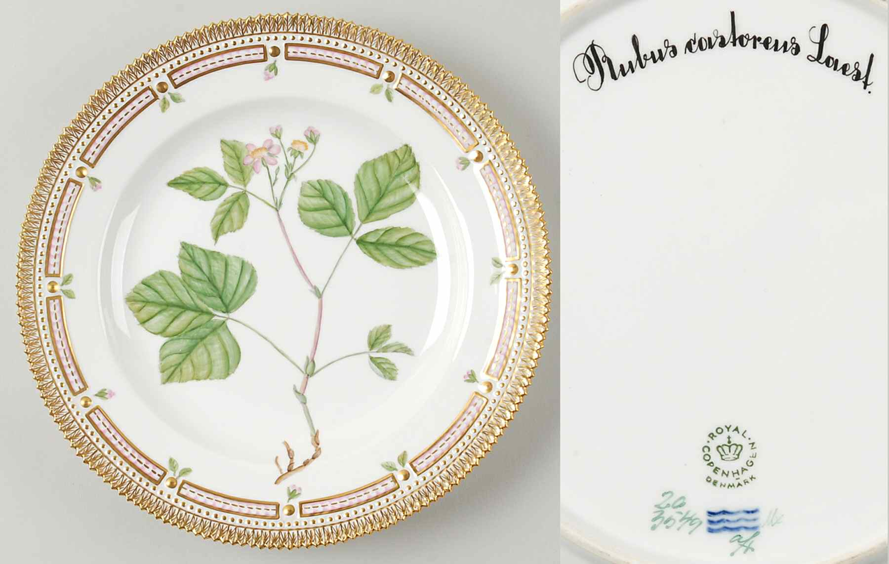 Flora Danica (1961 To Current) Dinner Plate-Rubus castoreus Laest by Royal Copenhagen-1