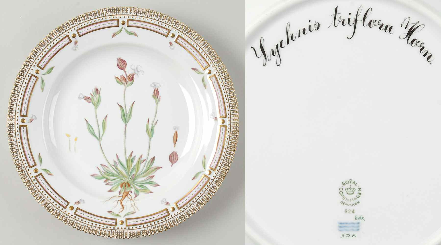 Flora Danica (1961 To Current) Dinner Plate-Lychnis triflora Horn by Royal Copenhagen-1