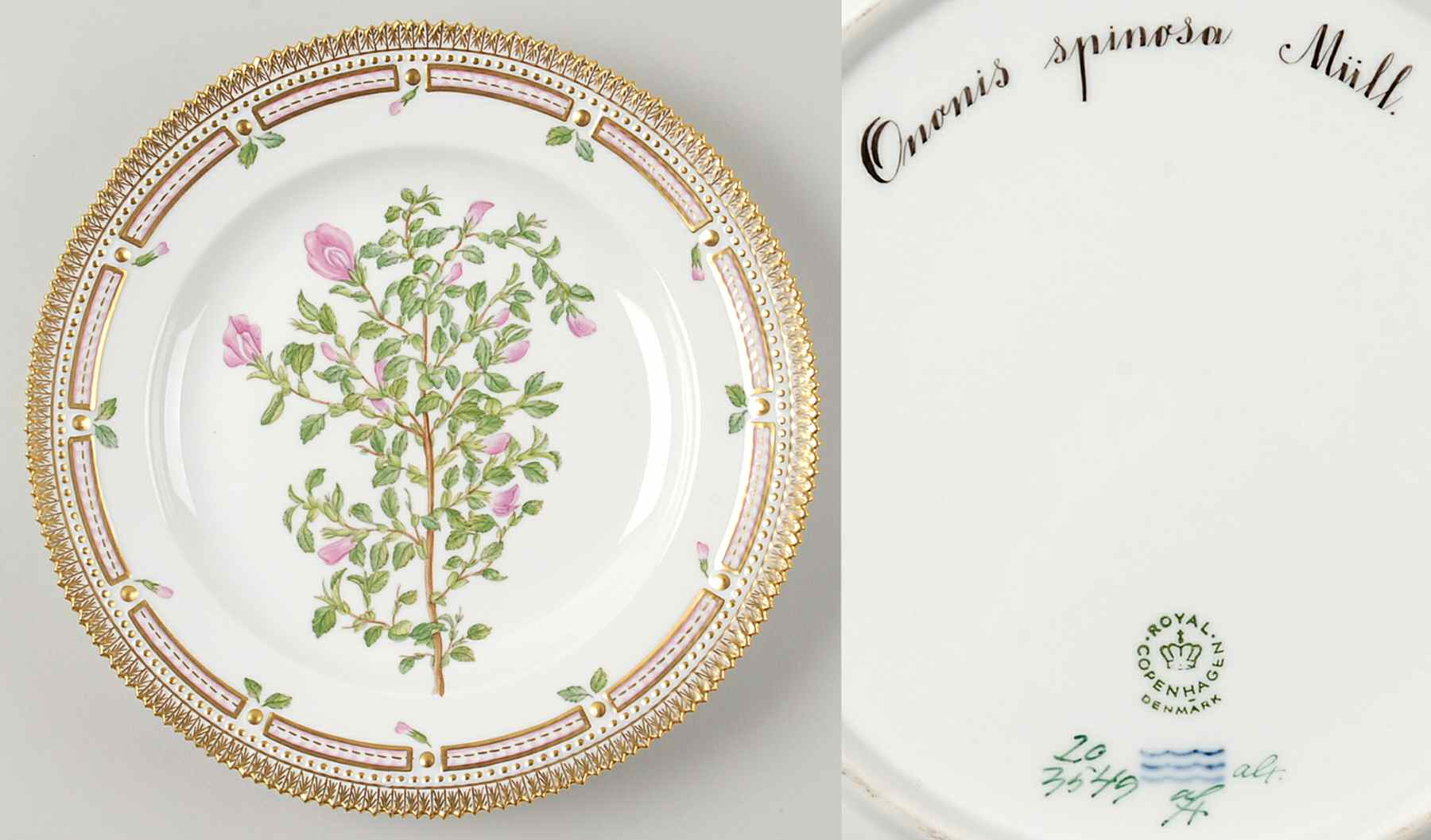 Flora Danica (1961 To Current) Dinner Plate-Ononis spinosa Mull by Royal Copenhagen-1