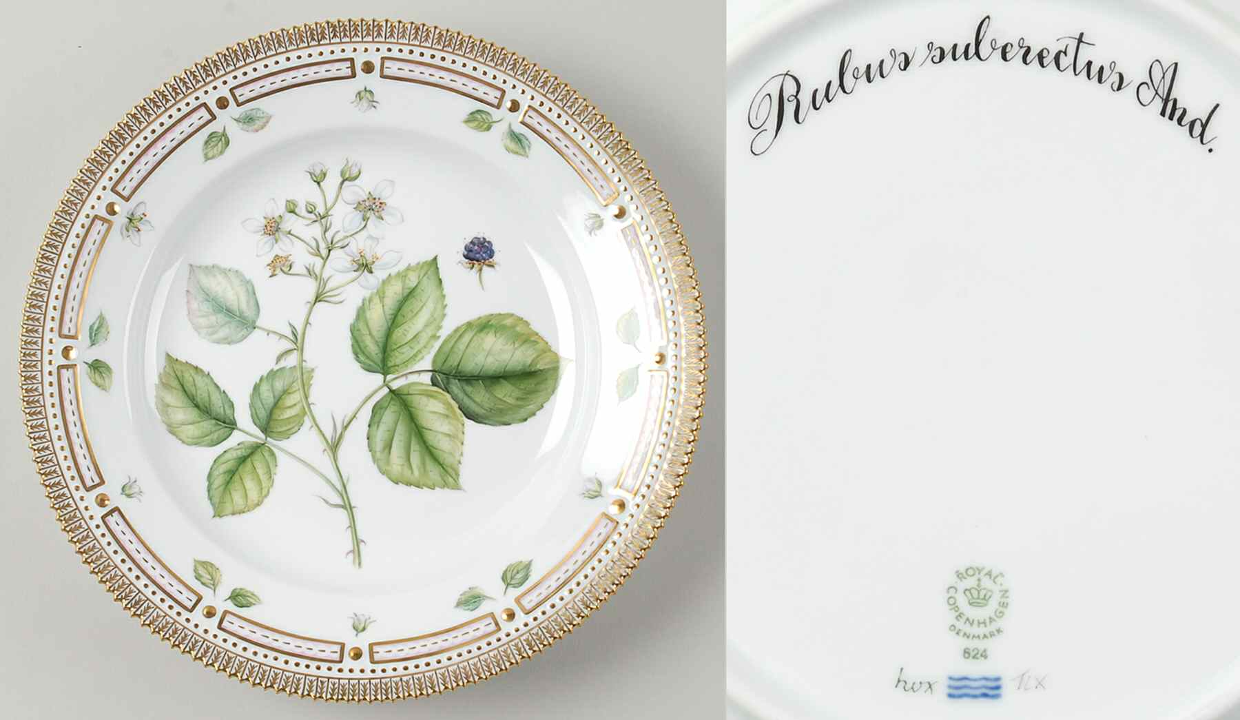 Flora Danica (1961 To Current) Dinner Plate-Rubus suberectus And by Royal Copenhagen-1