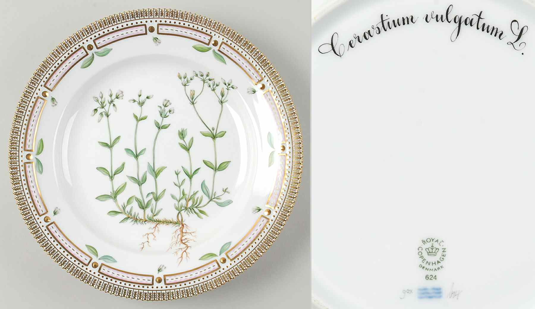 Flora Danica (1961 To Current) Dinner Plate-Cerastium vulgatum L by Royal Copenhagen-1