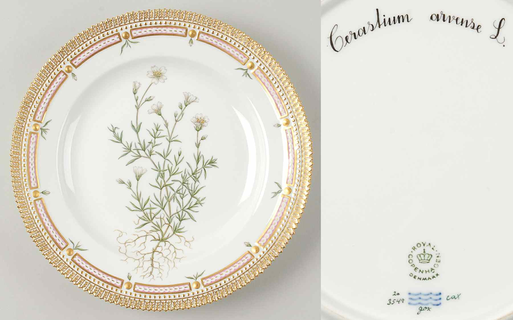 Flora Danica (1961 To Current) Dinner Plate-Cerastium arvense L by Royal Copenhagen-1