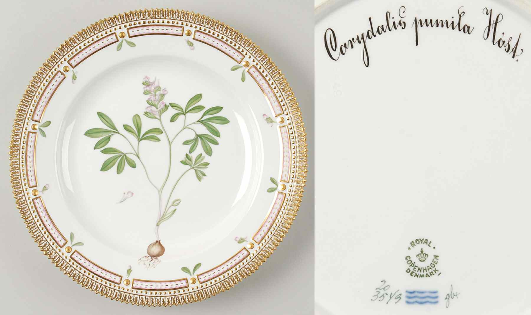 Flora Danica (1961 To Current) Dinner Plate-Corydalis pumila Host by Royal Copenhagen-1