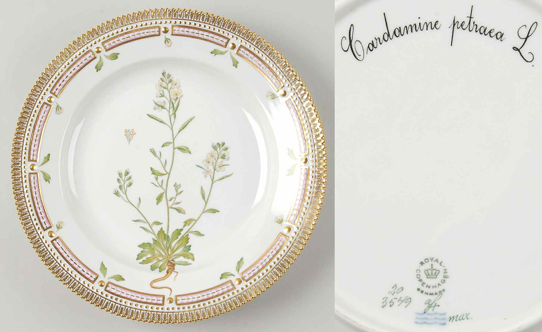Flora Danica (1961 To Current) Dinner Plate-Cardamine patraea L by Royal Copenhagen-1