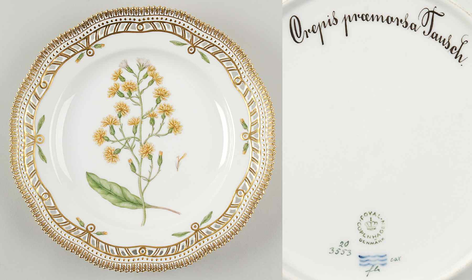 Flora Danica (1961 To Current) 10" Pierced Dinner Plate/Fruit Std-Crepis praemors by Royal Copenhagen-1