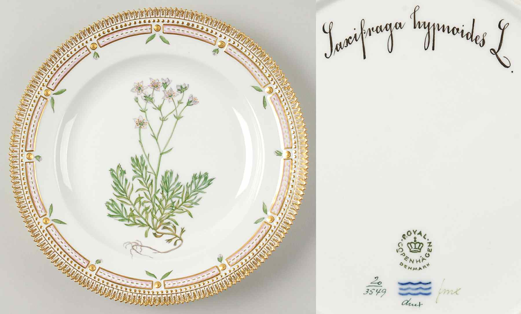 Flora Danica (1961 To Current) Dinner Plate-Saxifraga hypnoides L by Royal Copenhagen-1