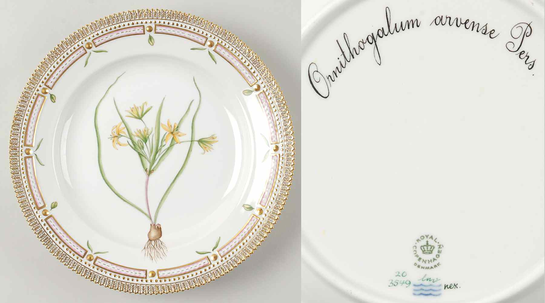 Flora Danica (1961 To Current) Dinner Plate-Ornithogalum arvense Pers by Royal Copenhagen-1