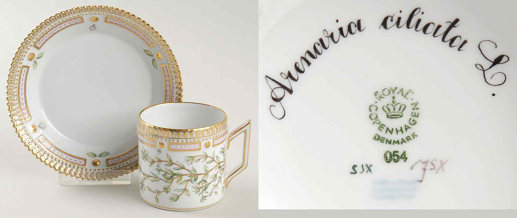 Flora Danica (1961 To Current) Chocolate Cup & Serrated Saucer-Arenaria ciliata L by Royal Copenhagen-1