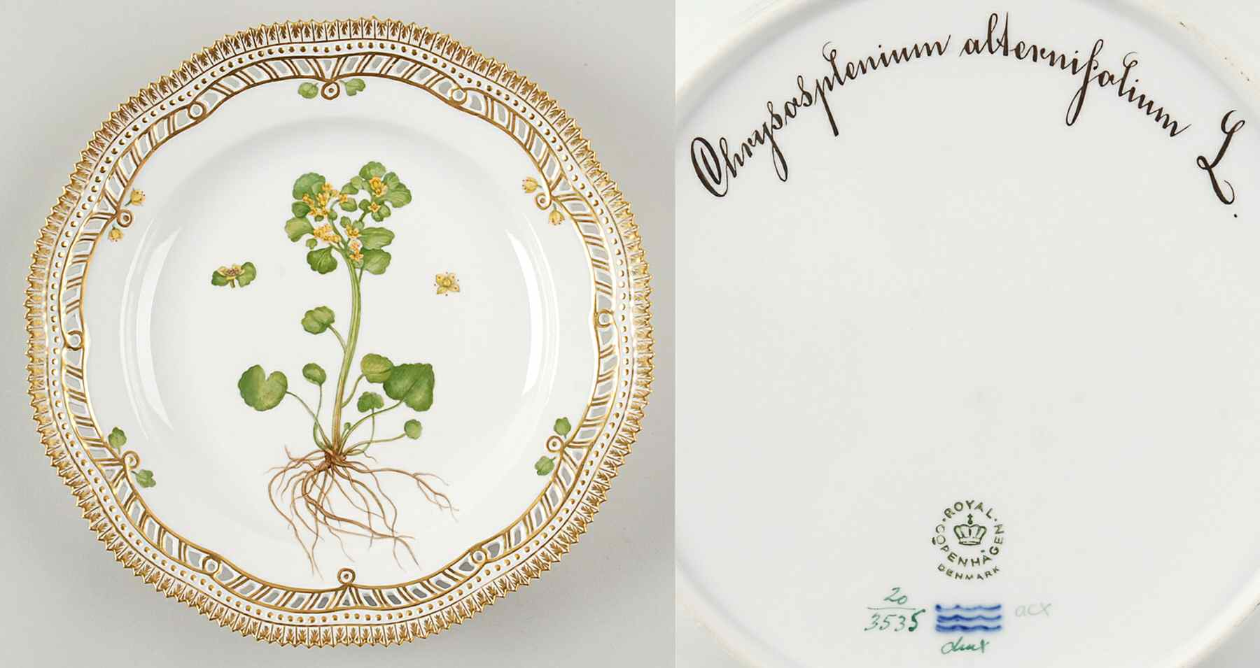 Flora Danica (1961 To Current) 10" Pierced Dinner Plate/Fruit Std-Chrysosplenium by Royal Copenhagen-1