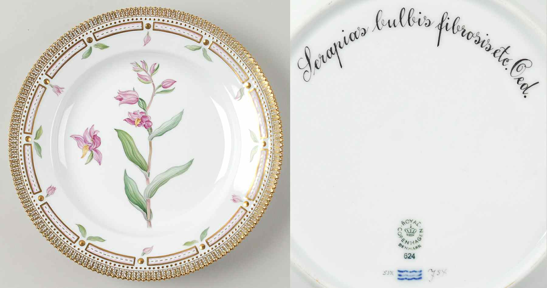 Flora Danica (1961 To Current) Dinner Plate-Serapias bulbis fibrosis etc Oed by Royal Copenhagen-1