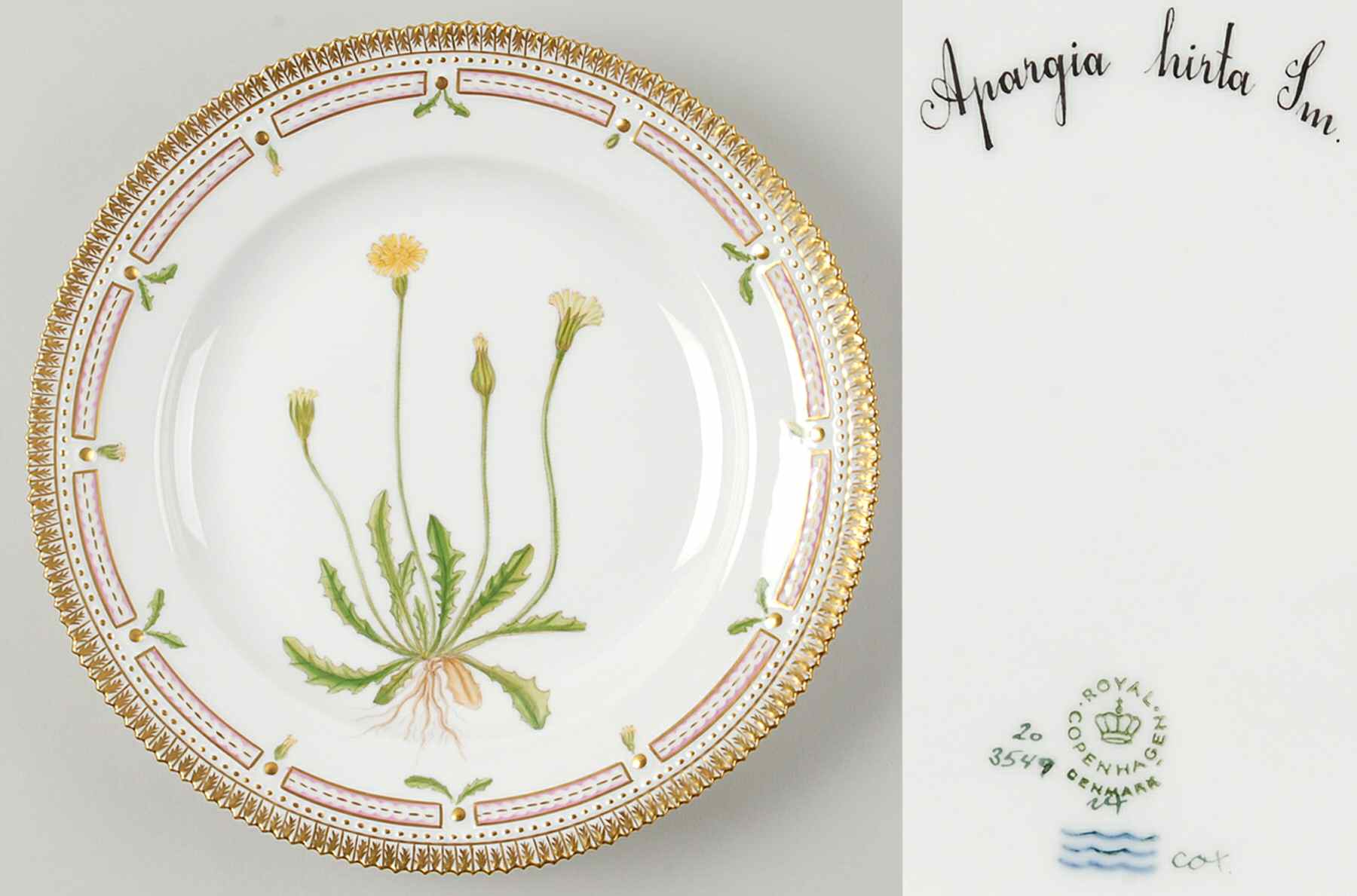 Flora Danica (1961 To Current) Dinner Plate-Apargia hirta Sm by Royal Copenhagen-1