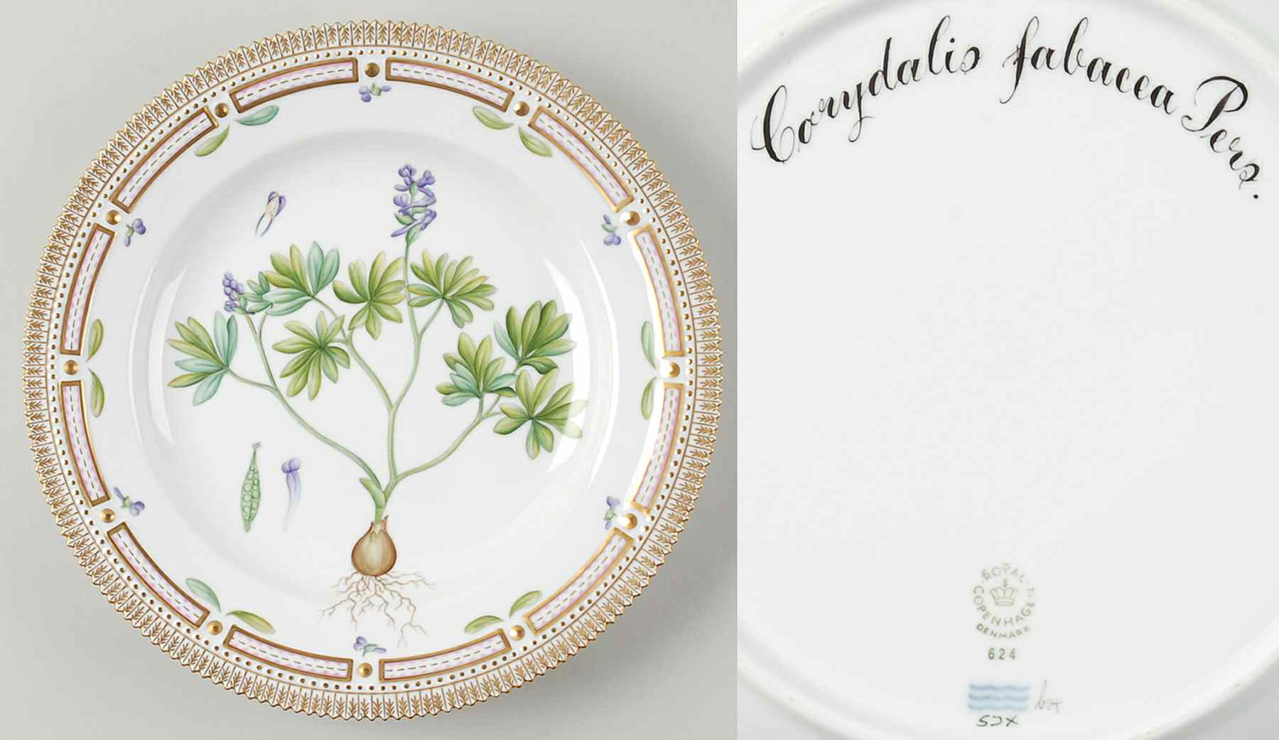 Flora Danica (1961 To Current) Dinner Plate-Corydalis fabacca Pers by Royal Copenhagen-1