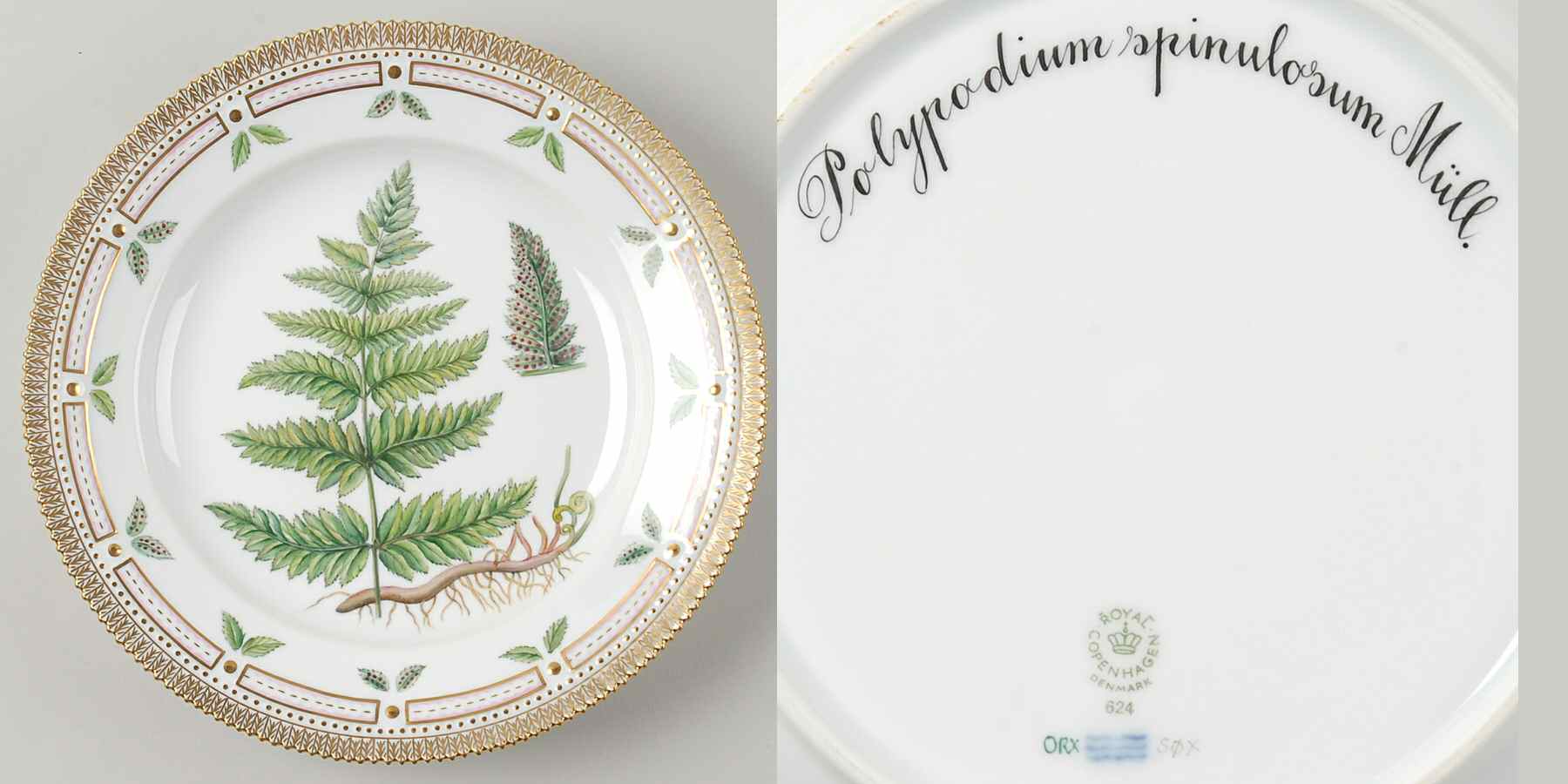 Flora Danica (1961 To Current) Dinner Plate-Polypodium spinulosum Mull by Royal Copenhagen-1