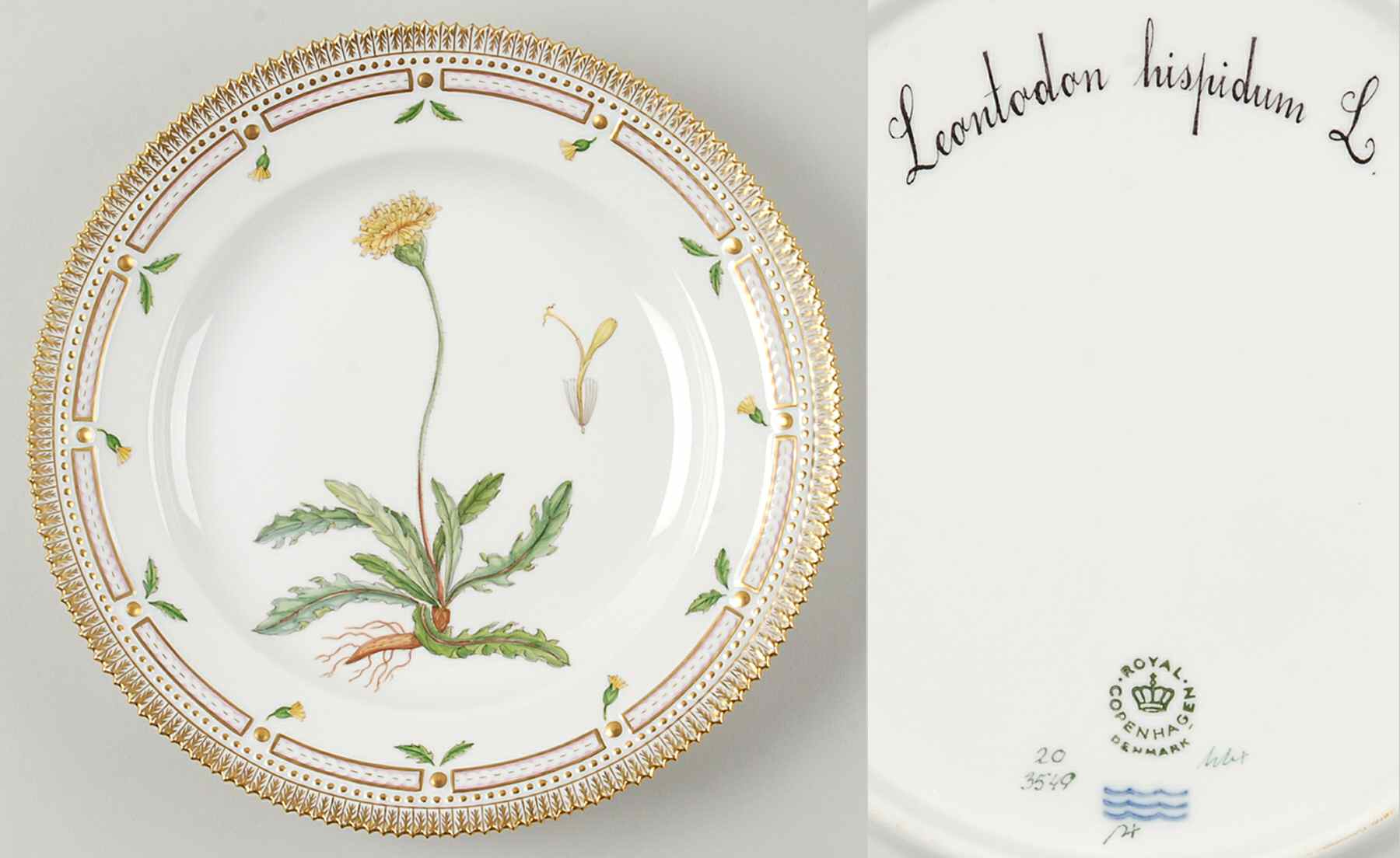 Flora Danica (1961 To Current) Dinner Plate-Leontodon hispidum L by Royal Copenhagen-1