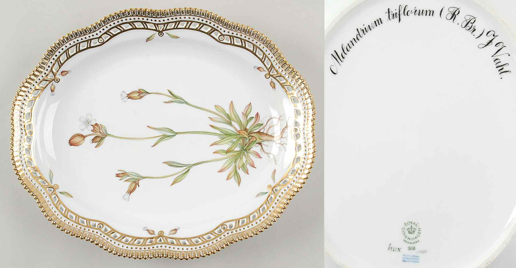 Flora Danica (1961 To Current) 10" Oval Fruit Stand-Melandrium triflorum (R.BR) J by Royal Copenhagen-1