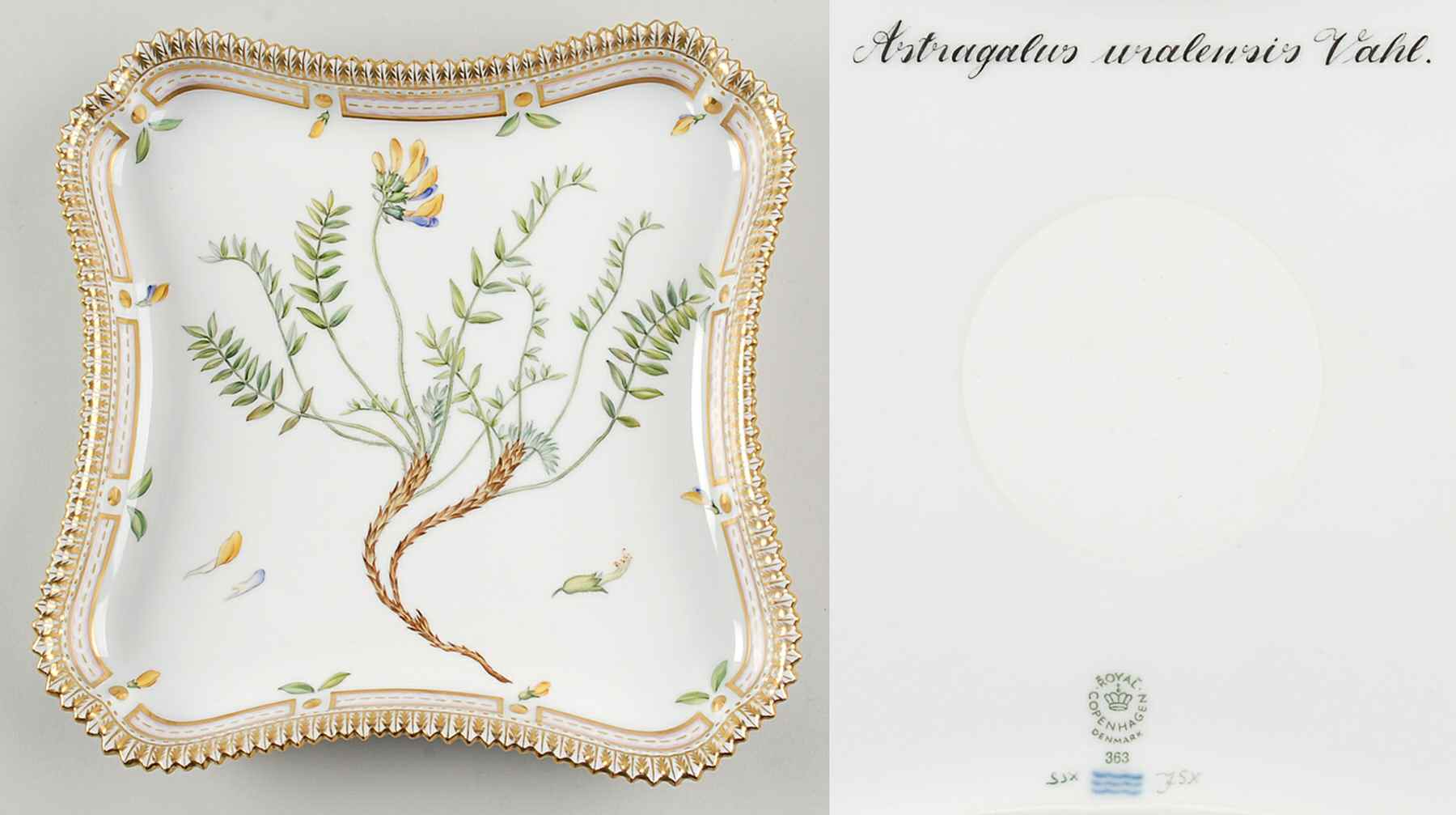 Flora Danica (1961 To Current) 9" Square Tray-Astragalus uralensis Vahl by Royal Copenhagen-1