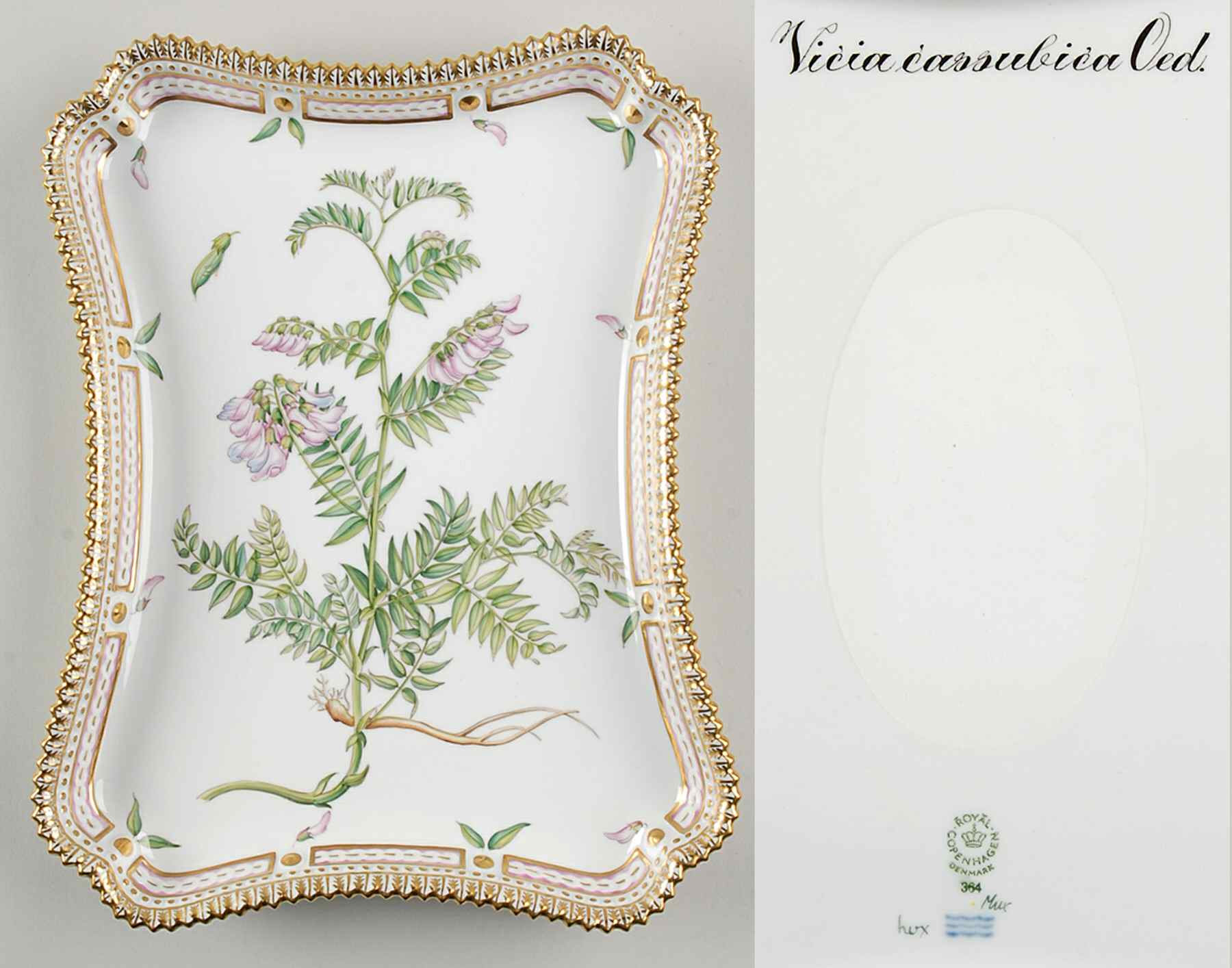 Flora Danica (1961 To Current) 11" Rectangular Tray-Vicia cassubica Oed by Royal Copenhagen-1