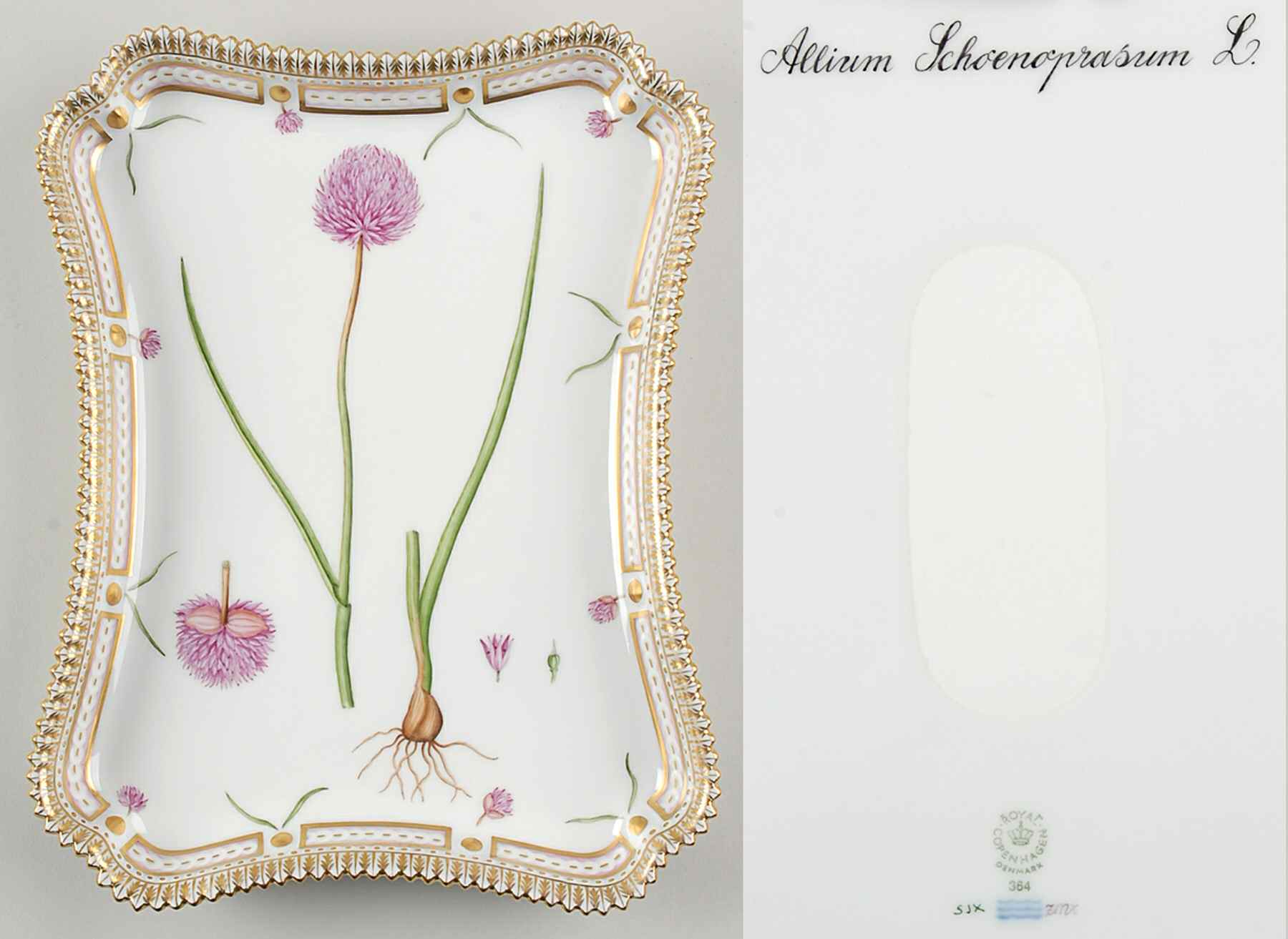 Flora Danica (1961 To Current) 11" Rectangular Tray-Allium Schoenoprasum L by Royal Copenhagen-1