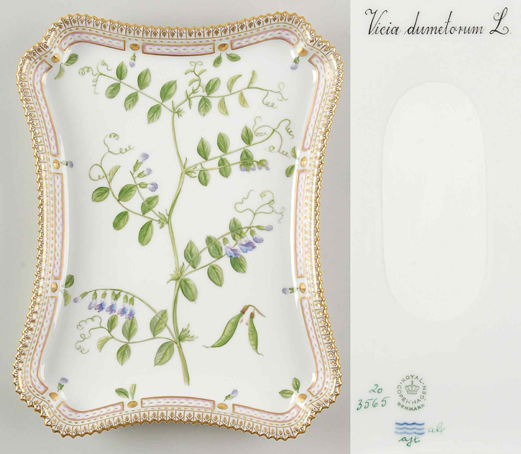 Flora Danica (1961 To Current) 11" Rectangular Tray-Vicia dumetorum L by Royal Copenhagen-1
