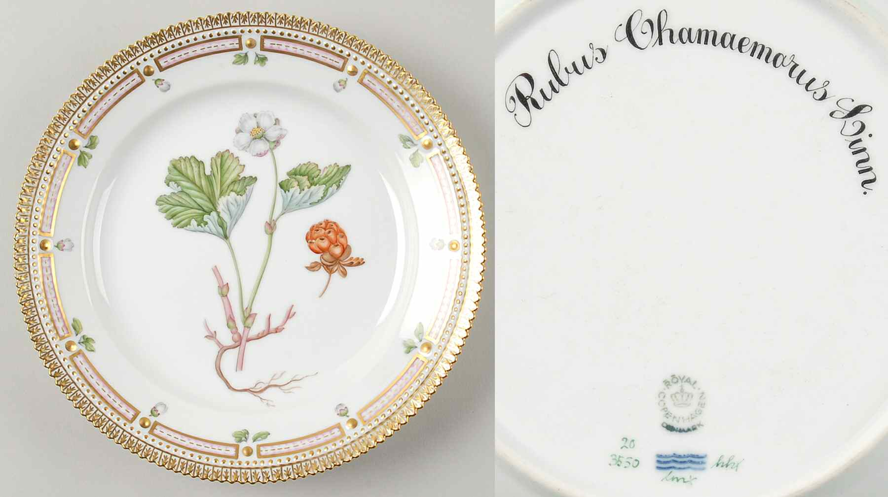 Flora Danica (1961 To Current) Luncheon Plate-Rubus Chamaemorus Linn by Royal Copenhagen-1