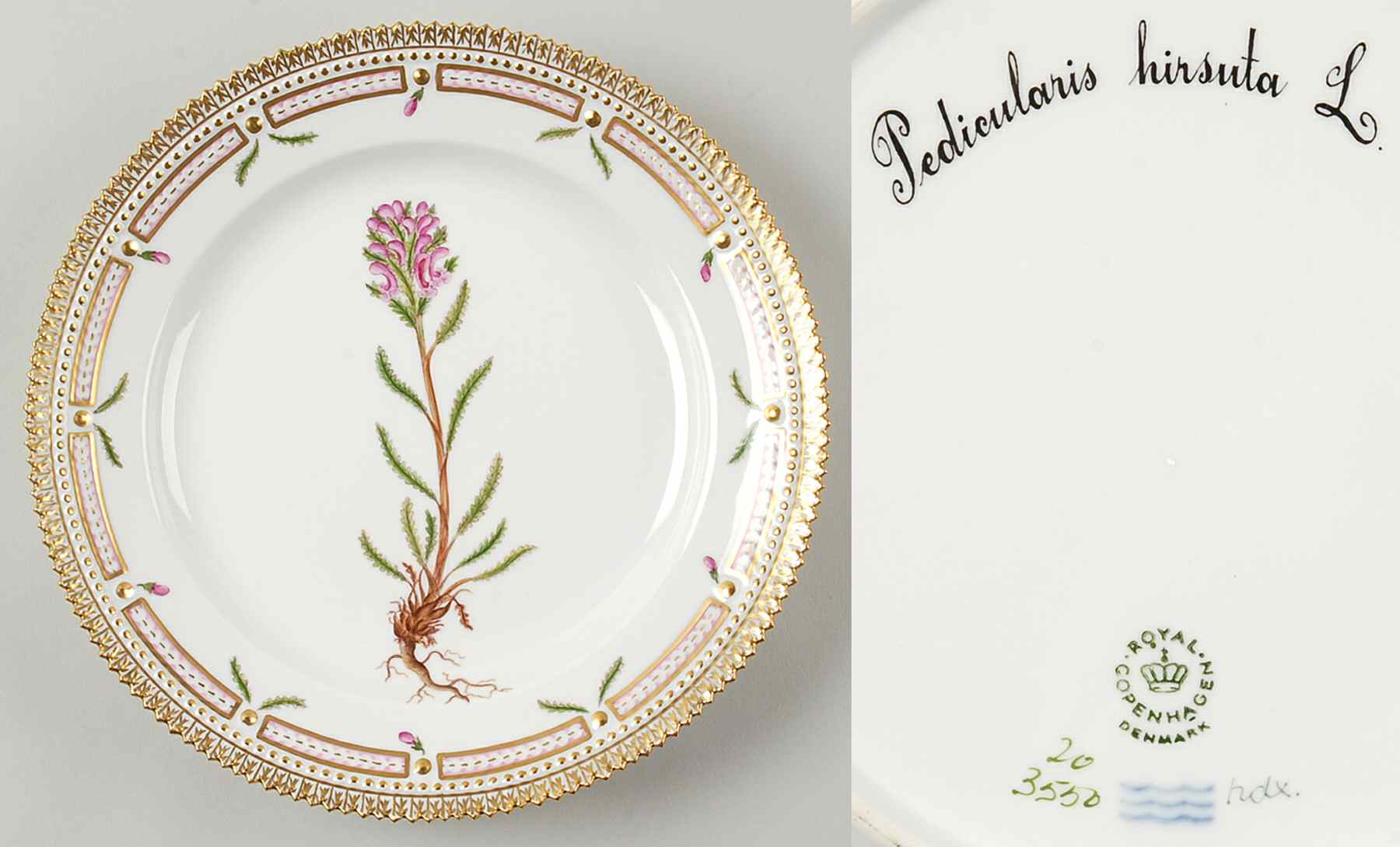Flora Danica (1961 To Current) Luncheon Plate-Pedicularis hirsuta L by Royal Copenhagen-1
