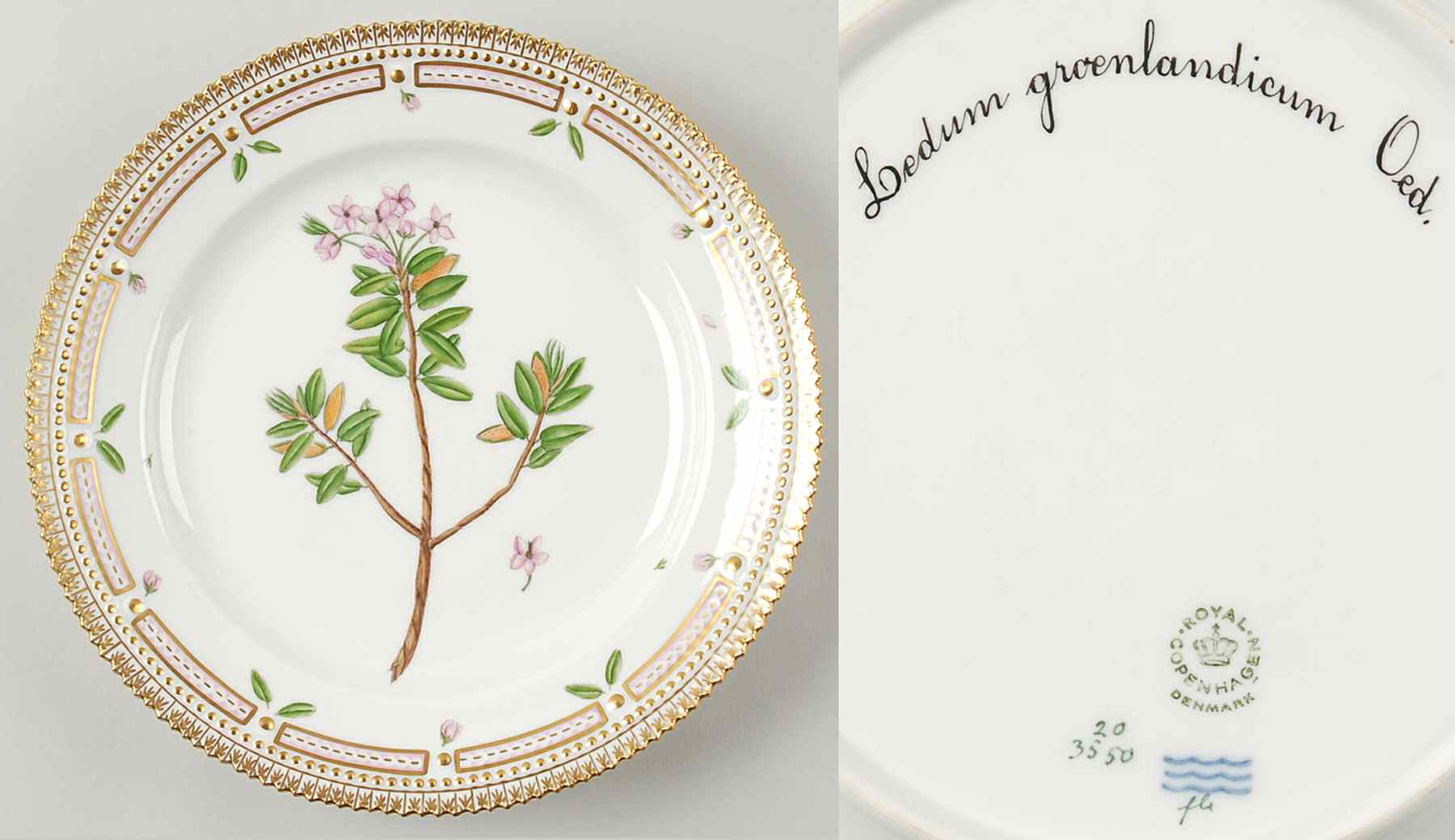 Flora Danica (1961 To Current) Luncheon Plate-Ledum groenlandicum Oed by Royal Copenhagen-1
