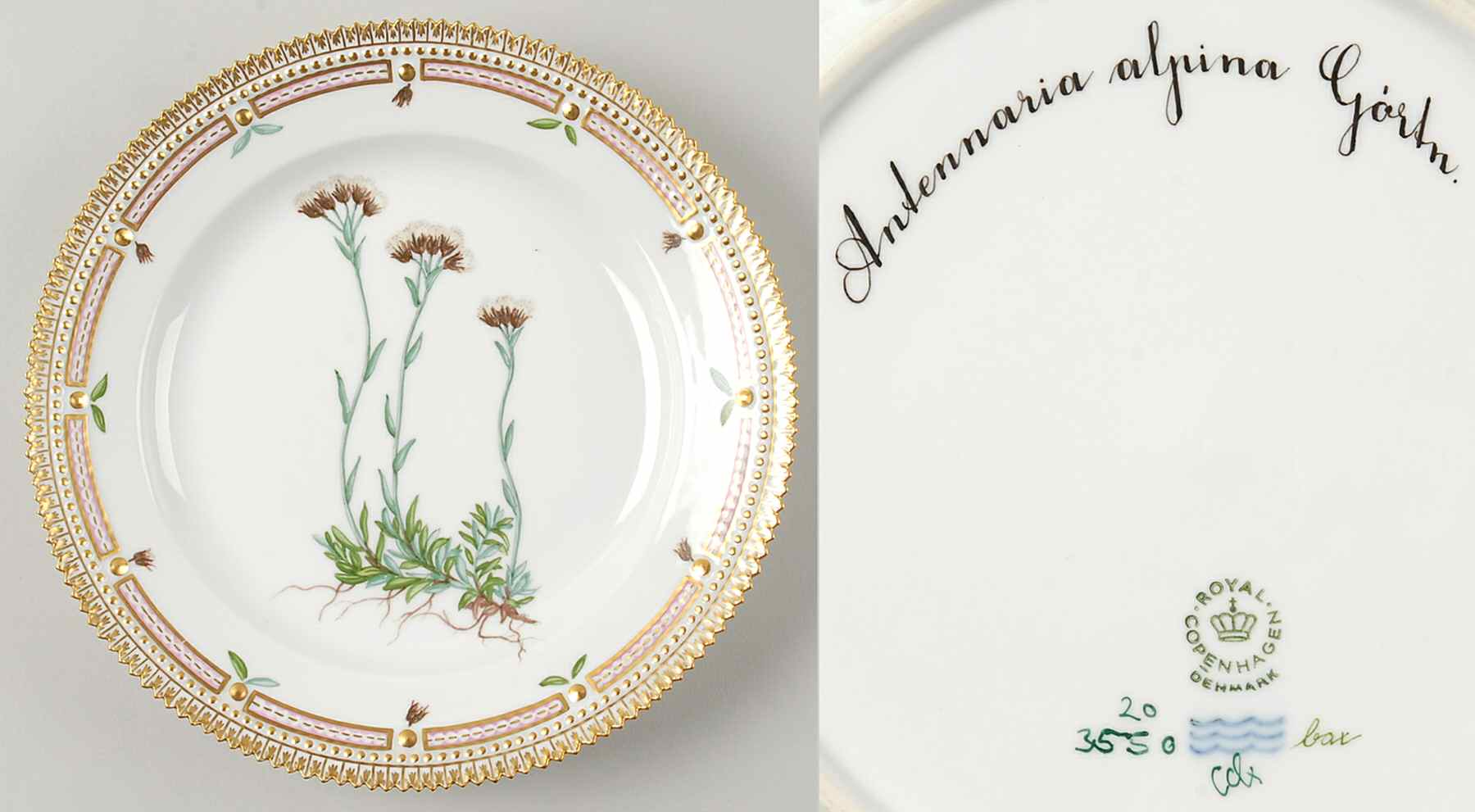 Flora Danica (1961 To Current) Luncheon Plate-Antennaria alpina Gartn by Royal Copenhagen-1