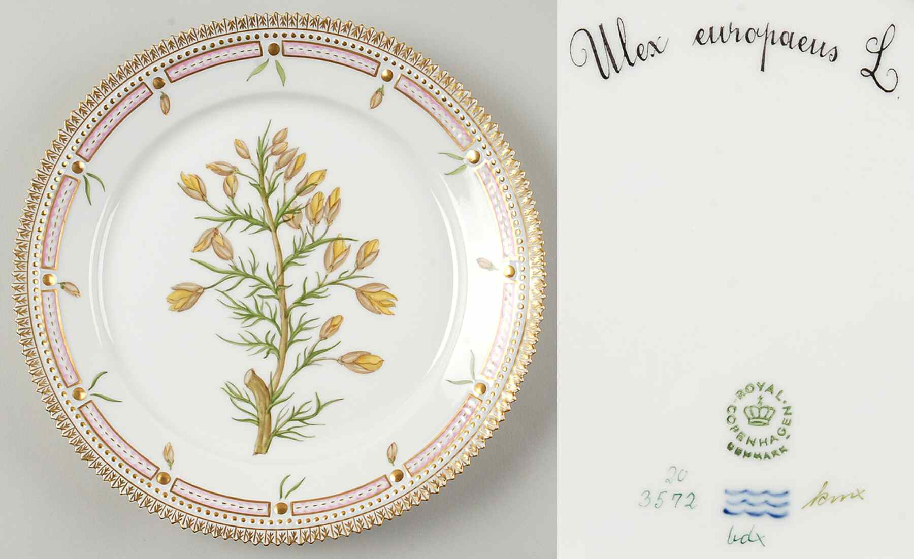 Flora Danica (1961 To Current) Luncheon Plate-Ulex europaeus L by Royal Copenhagen-1