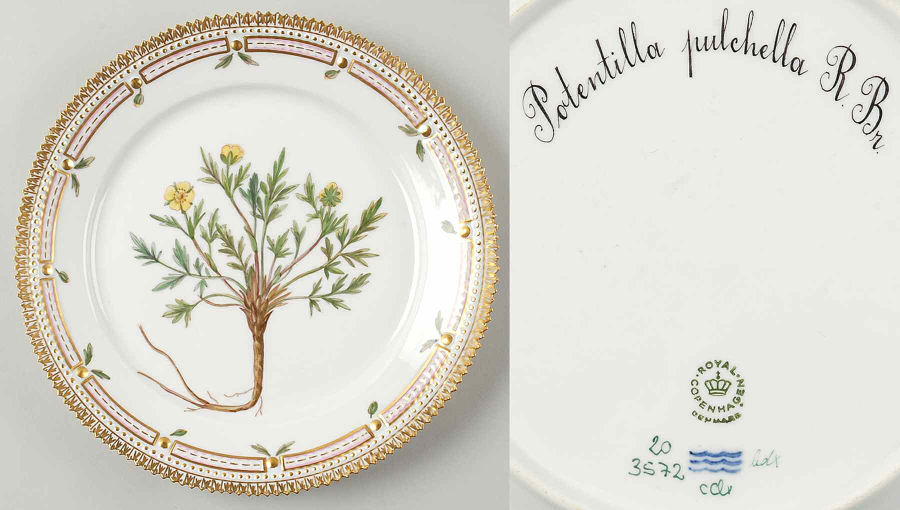 Flora Danica (1961 To Current) Luncheon Plate-Potentilla pulchella R Br by Royal Copenhagen-1