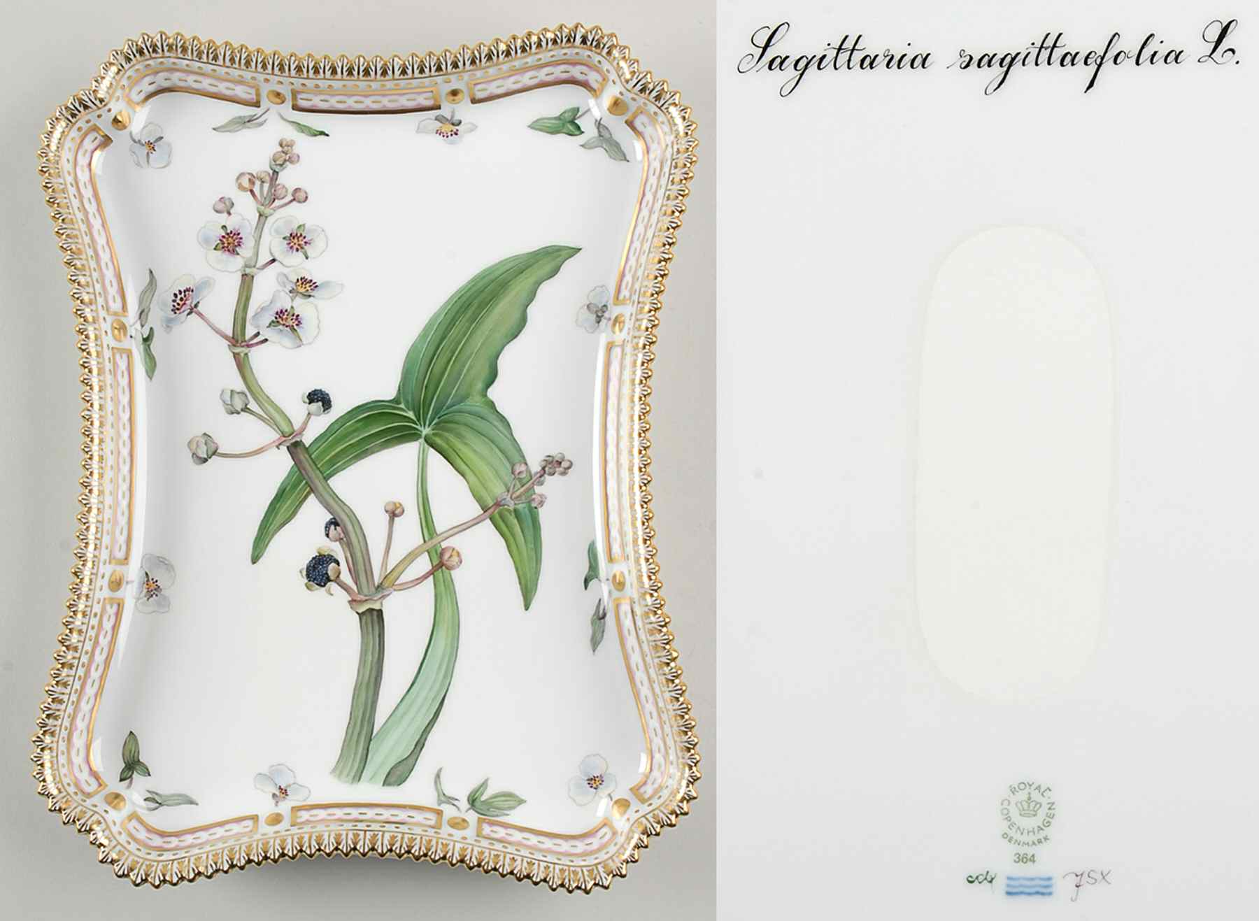 Flora Danica (1961 To Current) 11" Rectangular Tray-Sagittaria sagittifolia L by Royal Copenhagen-1