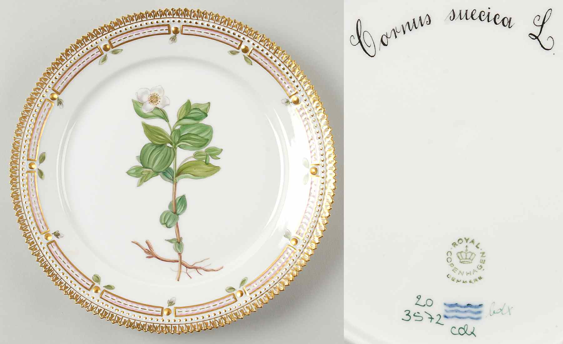 Flora Danica (1961 To Current) Luncheon Plate-Cornus suecica L by Royal Copenhagen-1