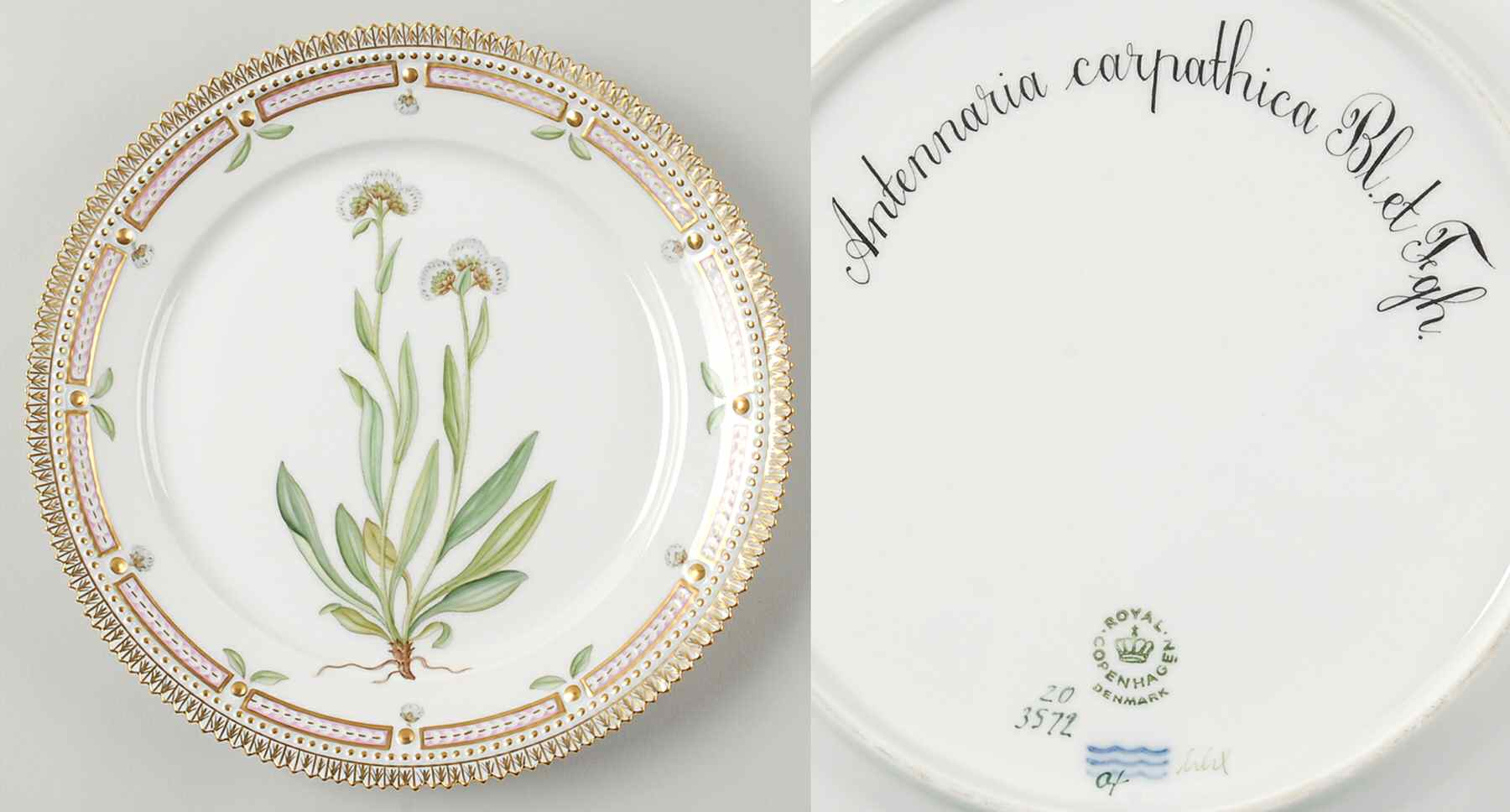 Flora Danica (1961 To Current) Luncheon Plate-Antennaria carpathica Bl et Fgh by Royal Copenhagen-1