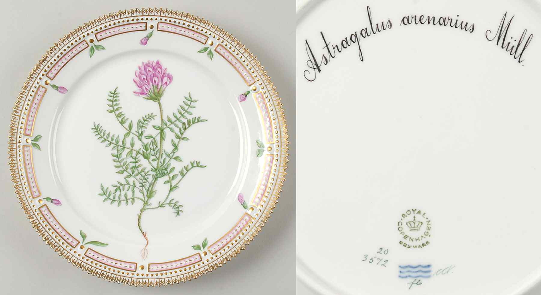Flora Danica (1961 To Current) Luncheon Plate-Astragalus arenarius Mull by Royal Copenhagen-1