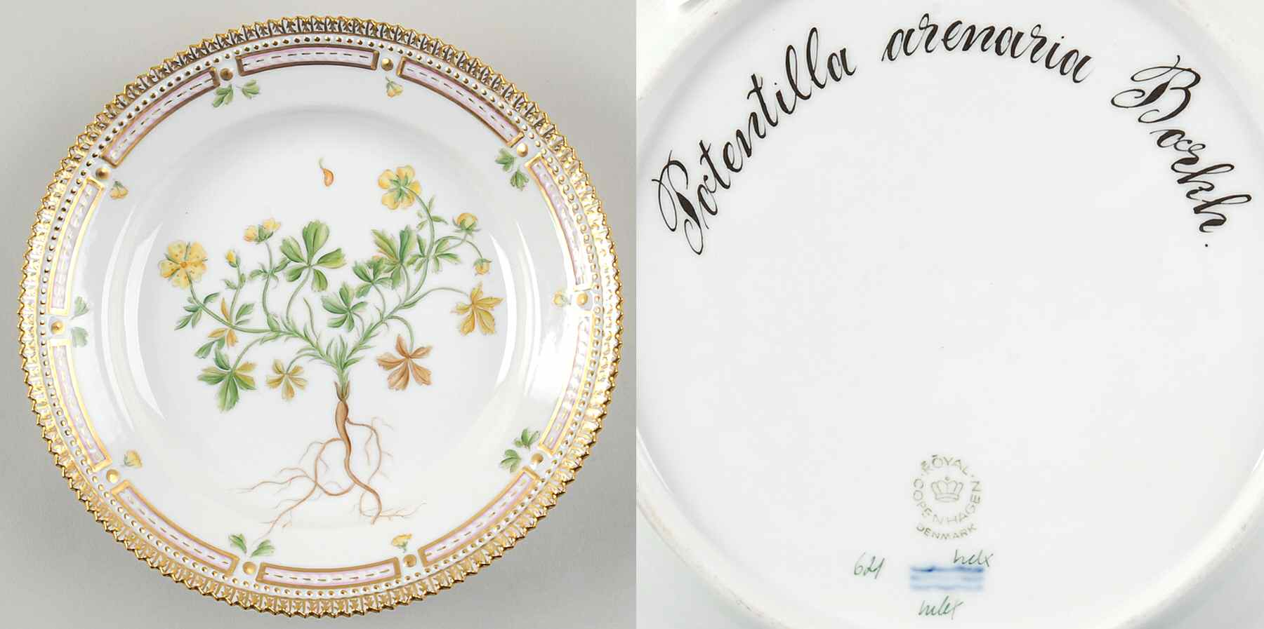 Flora Danica (1961 To Current) Salad Plate-Potentilla arenaria Borkh by Royal Copenhagen-1