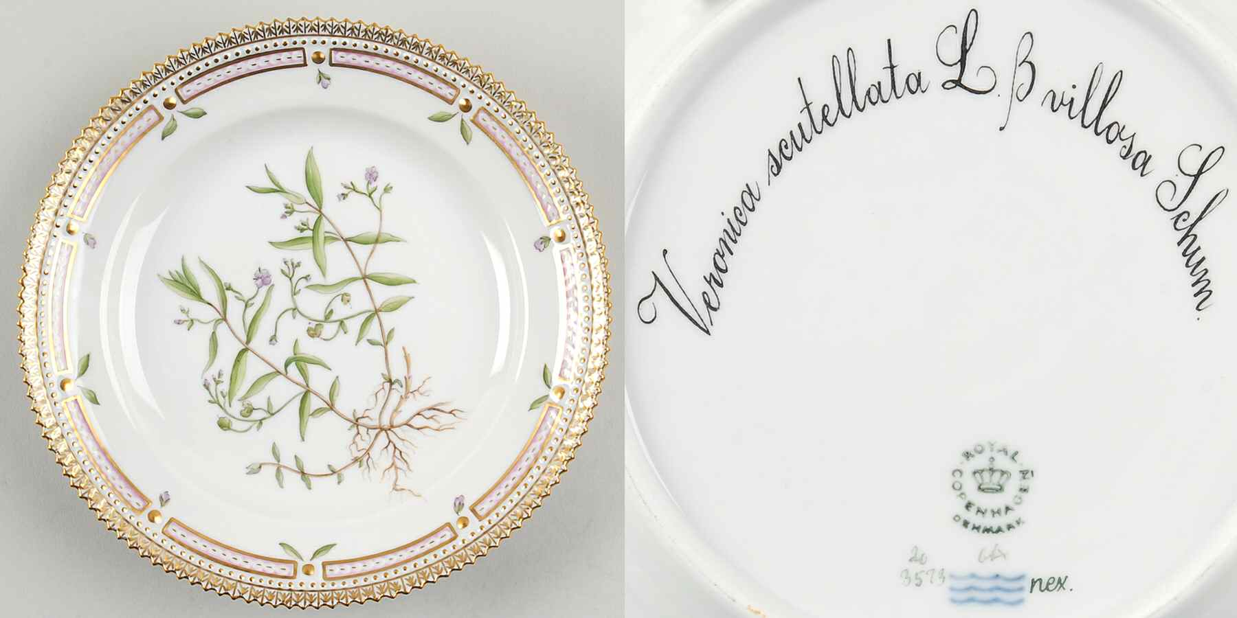 Flora Danica (1961 To Current) Salad Plate-Veronica scutellata L B villosa Schum by Royal Copenhagen-1