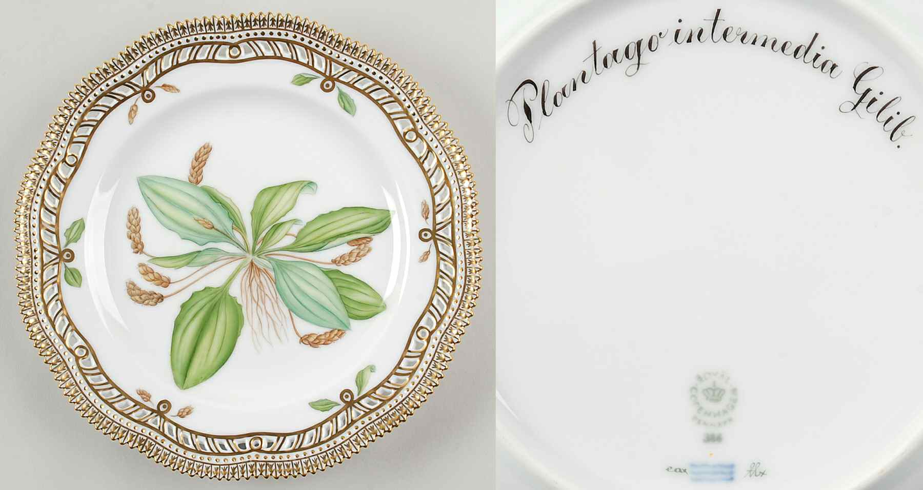 Flora Danica (1961 To Current) 9" Pierced Luncheon Plate/Fruit Std-Plantago Inter by Royal Copenhagen-1