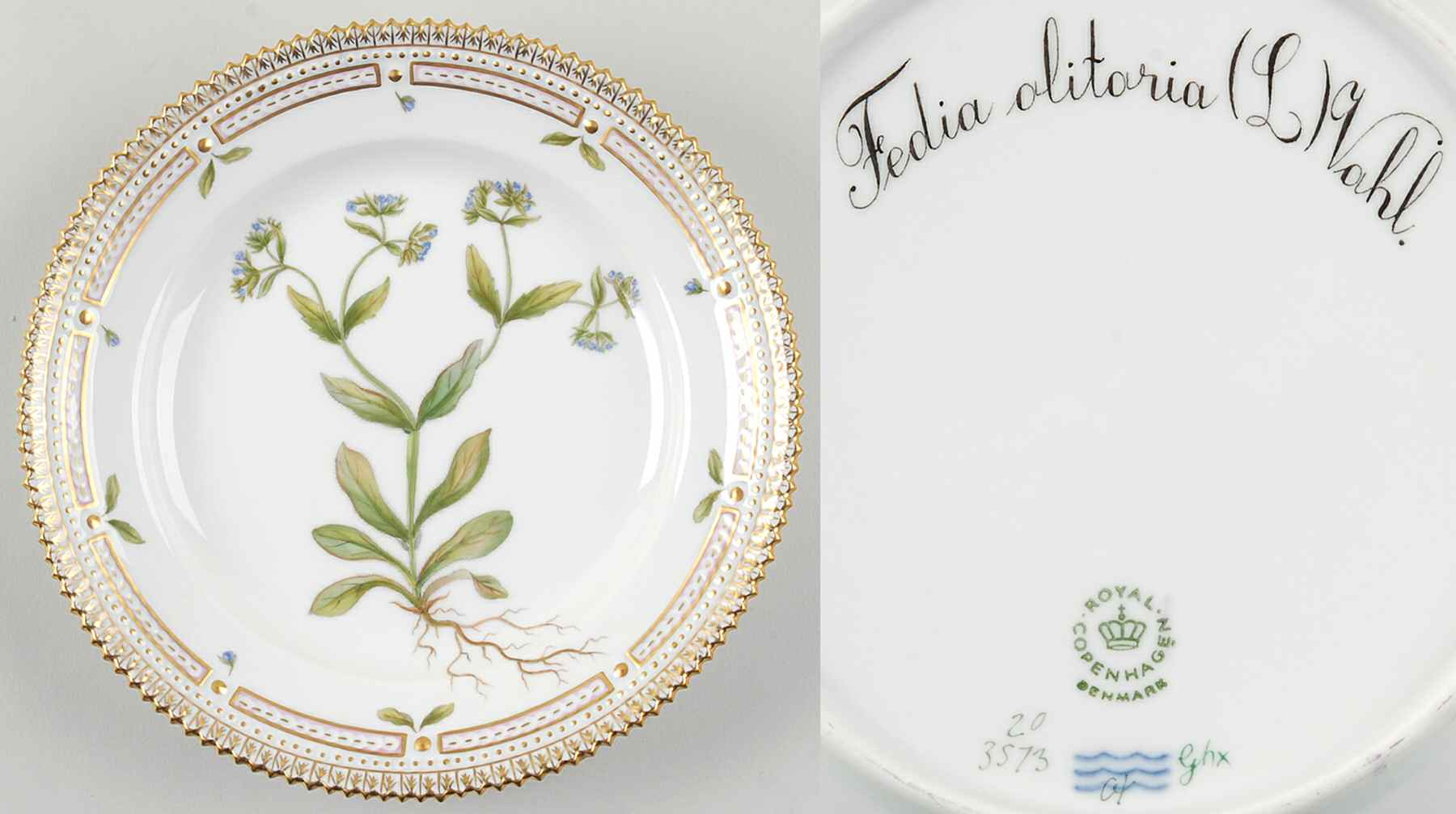 Flora Danica (1961 To Current) Salad Plate-Fedia olitoria L Vahl by Royal Copenhagen-1
