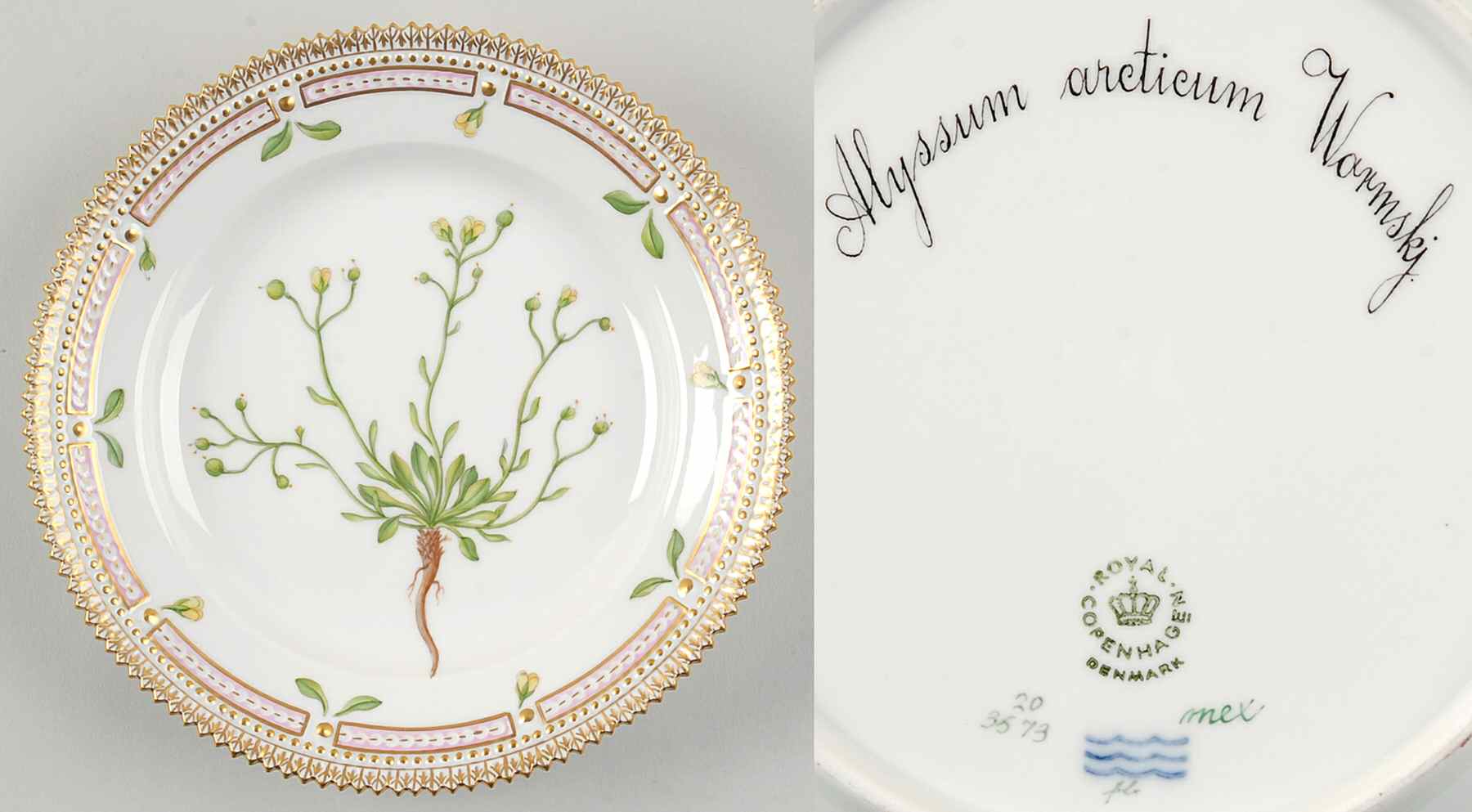 Flora Danica (1961 To Current) Salad Plate-Alyssum arcticum Wormskj by Royal Copenhagen-1