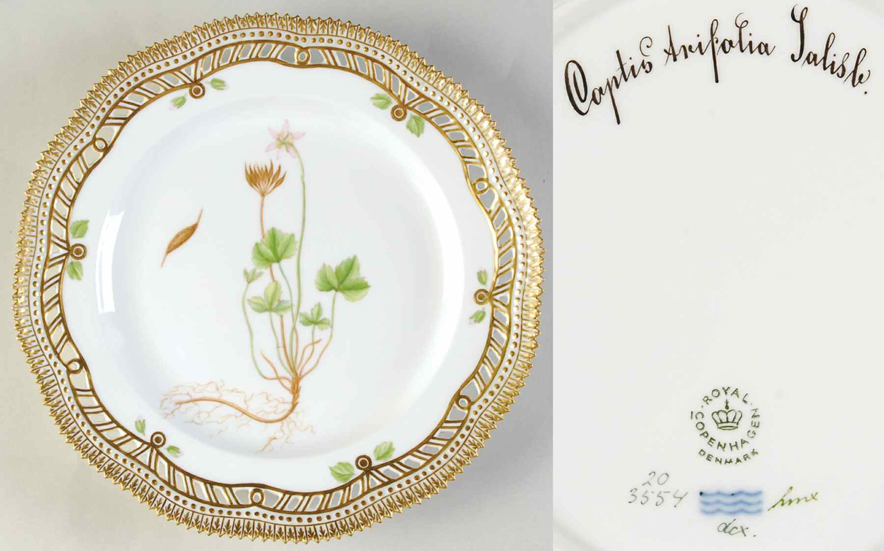 Flora Danica (1961 To Current) 9" Pierced Luncheon Plate/Fruit Std-Coptis Arifoli by Royal Copenhagen-1