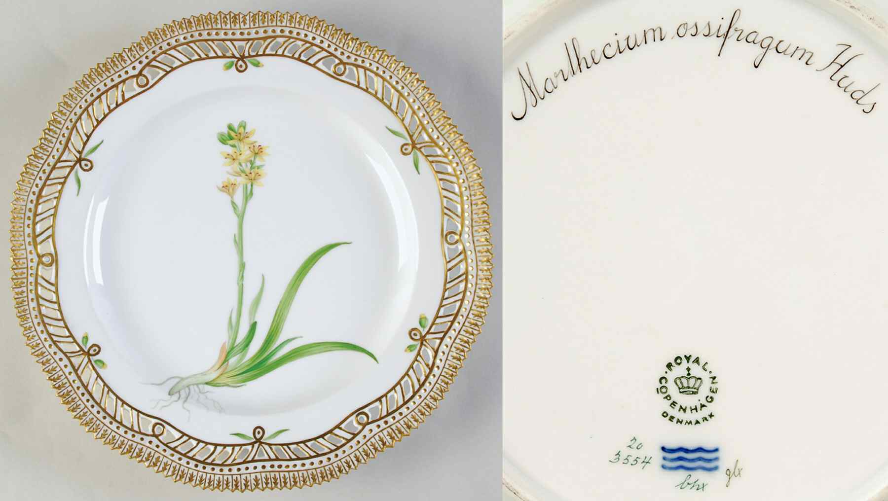 Flora Danica (1961 To Current) 9" Pierced Luncheon Plate/Fruit Std-Marthecium os by Royal Copenhagen-1