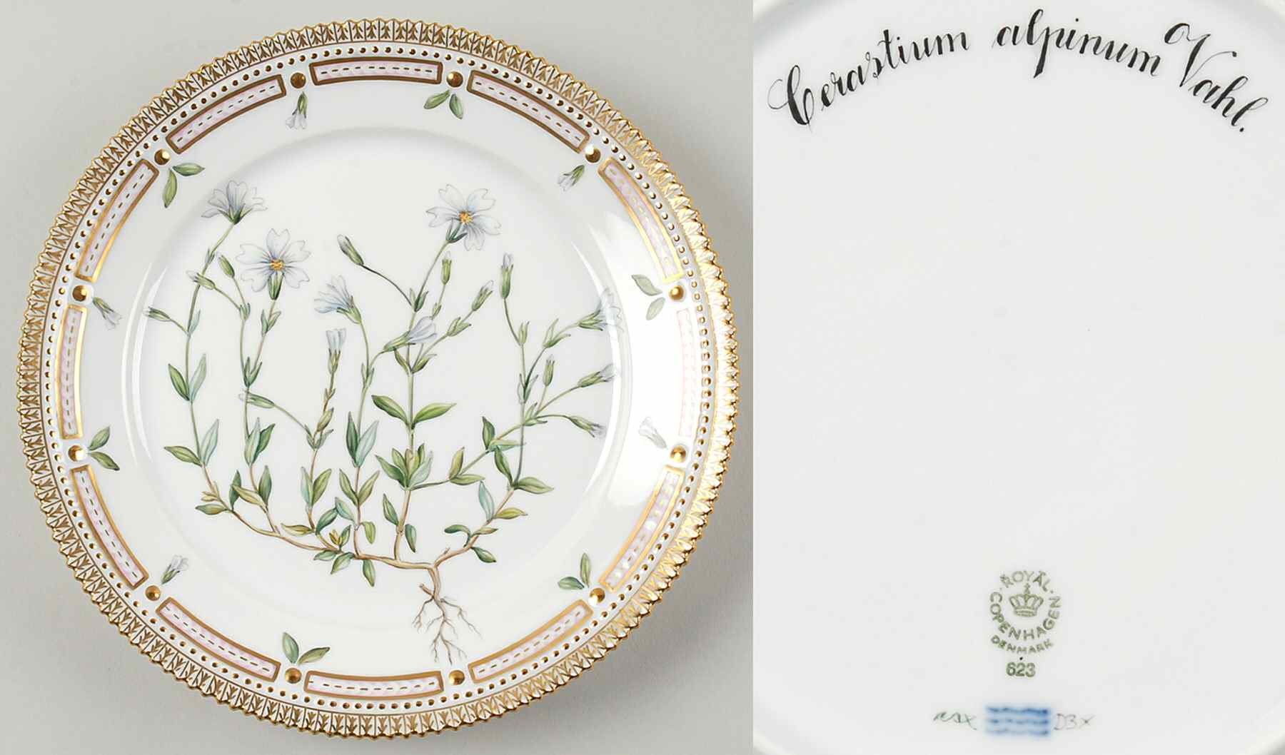 Flora Danica (1961 To Current) Luncheon Plate-Cerastium alpinum Vahl by Royal Copenhagen-1