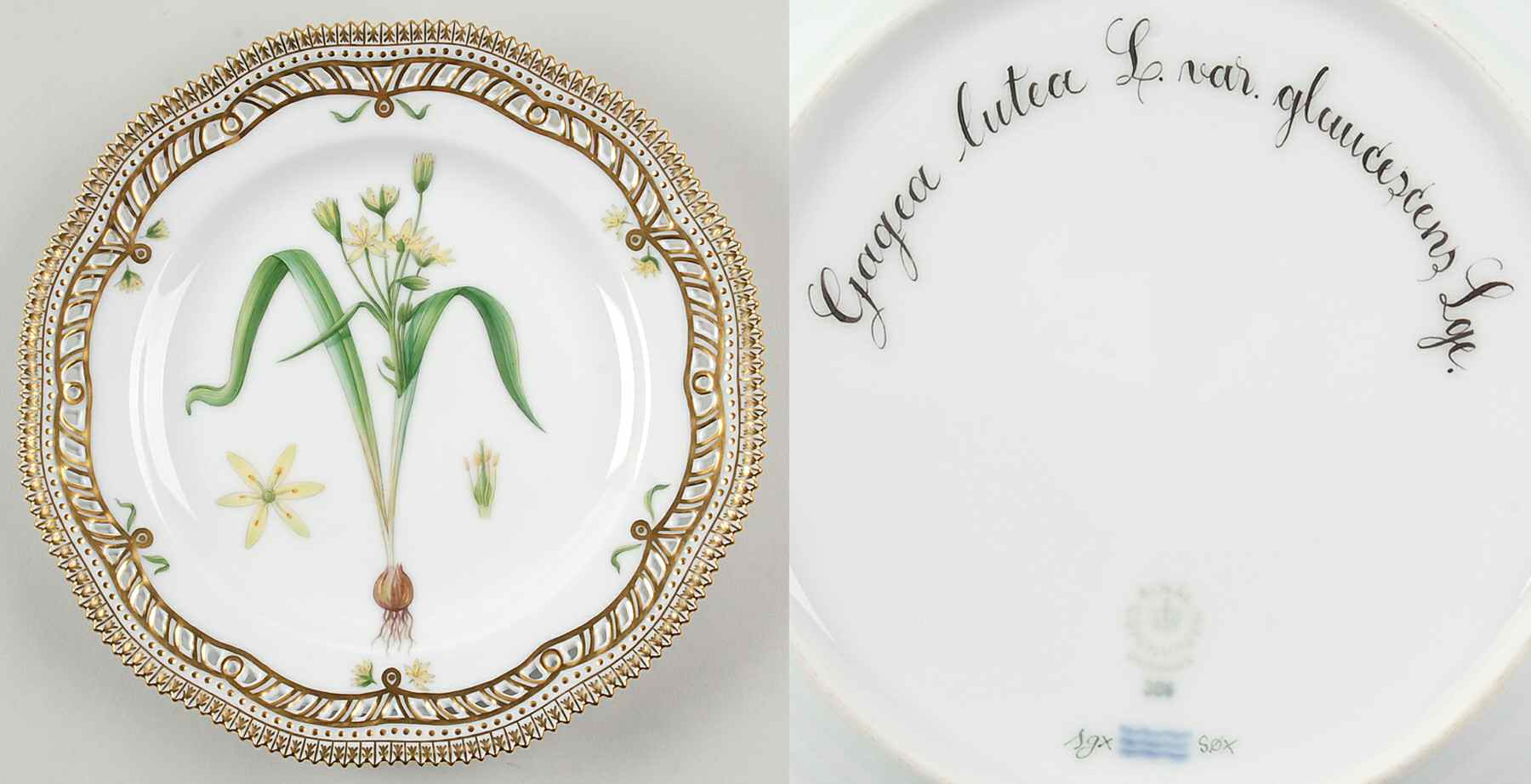 Flora Danica (1961 To Current) 9" Pierced Luncheon Plate/Fruit Std-Gagea lutea L by Royal Copenhagen-1